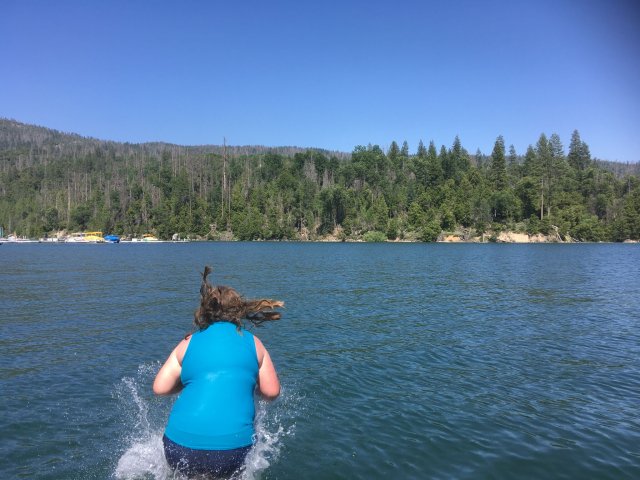 Missy jumping in the lake